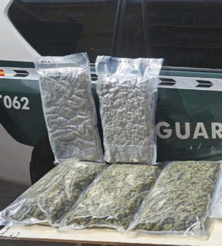 Una persona es detenida por la Guardia Civil por tráfico de marihuana