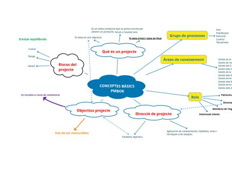 CONCEPTES BÀSICS PMBOK Mind Map