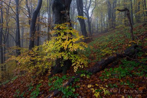 Magurski Park Narodowy 1510 00937C