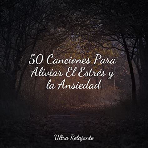 Canciones Para Aliviar El Estr S Y La Ansiedad Von Dormir E Meditar