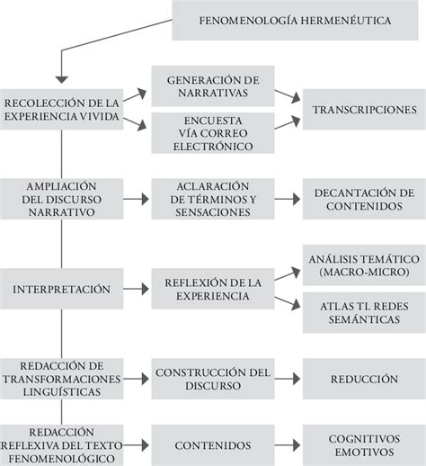 Figura1 El método fenomenológico hermenéutico Download Scientific