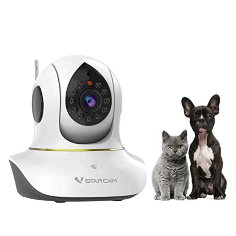 Tierkamera Katze – Die 15 besten Produkte im Vergleich & Angebote ...