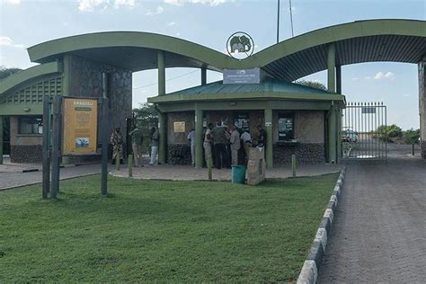 Tripadvisor Tage Amboseli National Park Reise Von Nairobi Zur