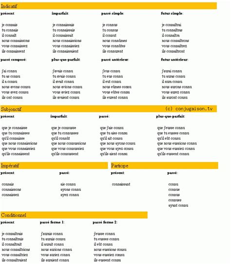 Conjugaison Du Verbe Connaitre Learn French French Language Learning