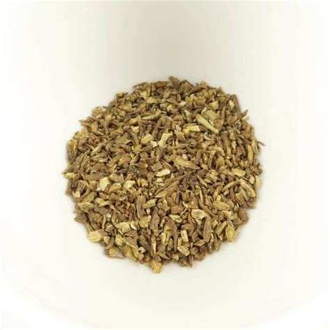 Dong Quai Herb | Hermits' Cupboard | Herb Magick