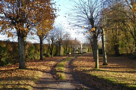 Autumn Trees Philip Halling Cc By Sa Geograph Britain And Ireland