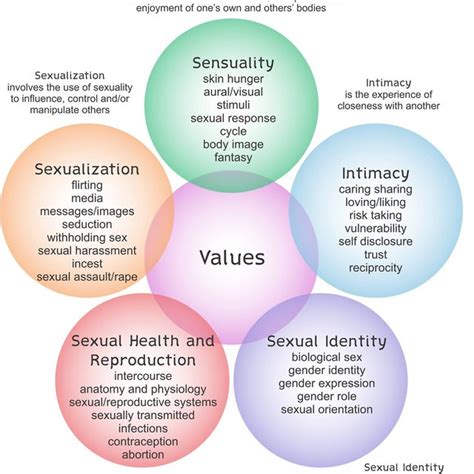 Circles Of Sexuality Image Provided By The Unitarian Universalist Download Scientific Diagram