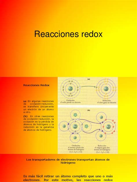 Reacciones Redox Completo Pdf Fotosíntesis Bioquímica