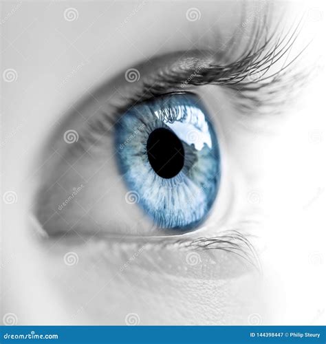 Black And White Photo With Blue Eye Stock Image Image Of Body Colors