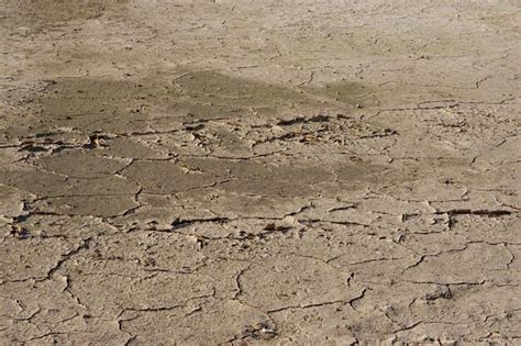 Suelo seco agrietado por sequía falta de agua en la agricultura Foto