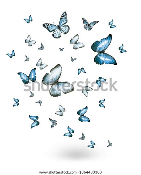 Flock Flying Butterflies Isolated On White Stock Illustration