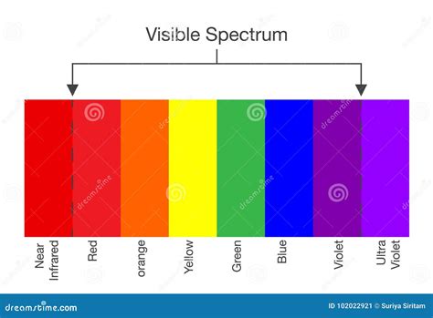 Chart of Visible Spectrum Color. Stock Vector - Illustration of light ...