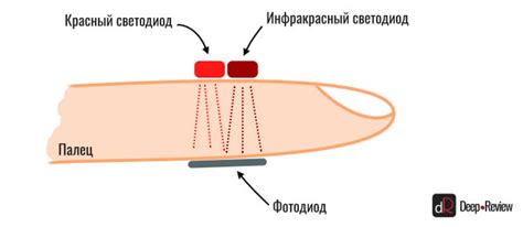Как работает пульсоксиметр на часах и фитнес-браслетах с функцией ...
