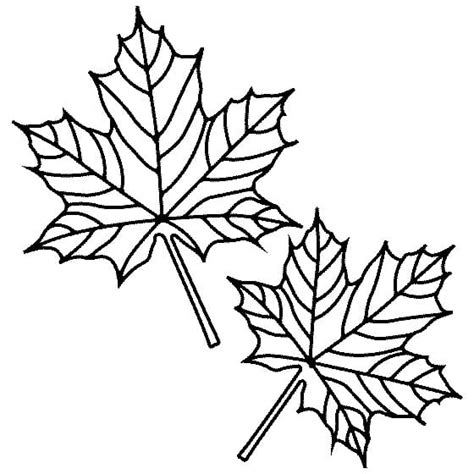 Coloriage Feuilles d Érable télécharger et imprimer gratuit sur