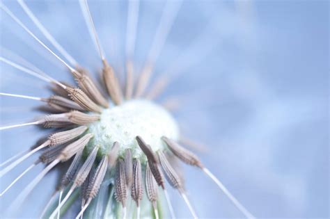 A gentle breeze by pqphotography on DeviantArt