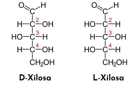 Xilosa Qu Es Caracter Sticas Estructura Funciones Y Efectos