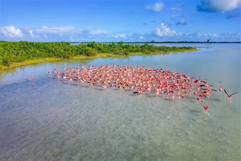 One More Reason To Visit And Experience The Beauty Of Anegada