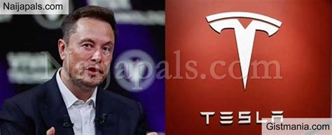 elon musk purchases  billion  tesla shares  boost stock gistmania