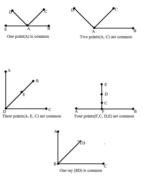 Solved Draw Rough Diagram Of Two Angles Such That One Point Is