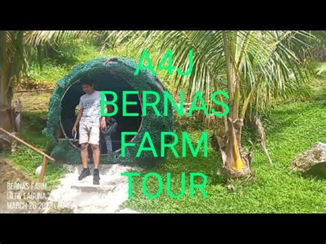 A J Brenas Farm Tour Here At Liliw Laguna Youtube