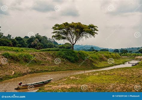 Boat on Amazon River in Boca De Valeria, Brazil. Amazon River Flow on ...