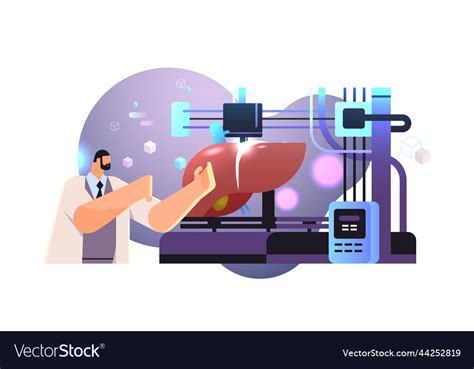 Researcher prints liver model on 3d bio printer Vector Image