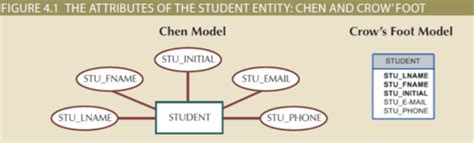 CH 4 Entity Relationship Model ERD Flashcards Quizlet