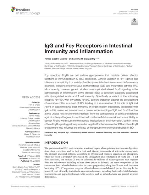 (PDF) IgG and Fcγ Receptors in Intestinal Immunity and Inflammation 