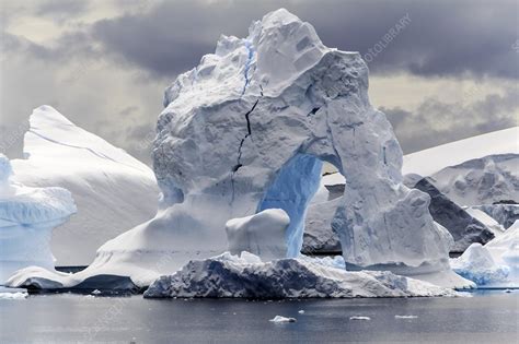 Icebergs, Antarctica - Stock Image - F008/3642 - Science Photo Library