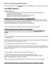 Lesson Grqs Meiosis Docx Biol Guided Reading Questions Grqs