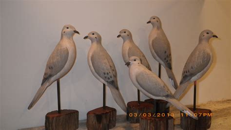 Dove Decoys - Falkinburg Decoys - Flocks of Birds come to Falkinburg's!