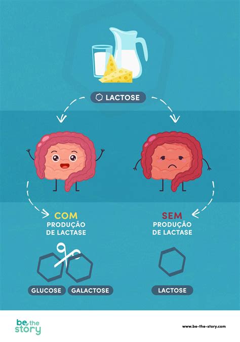 O Que É Lactose No Leite - Intolerância à lactose? Toda a informação sobre sintomas e causas