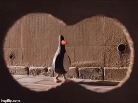 Wallace And Gromit Penguin Caught GIF - WallaceAndGromitPenguin Penguin ...