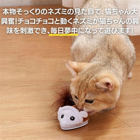 【楽天市場】猫 おもちゃ ネズミ 逃げ回る 選べる2カラー 電動 ペット 一人遊び 玩具 猫用 ネコ グッズ 猫のおもちゃ ペット用品 可愛い