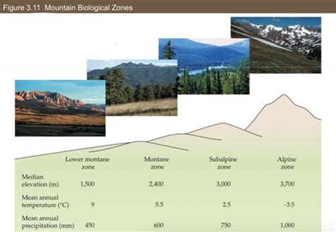 Ecology Test Chapter Flashcards Quizlet