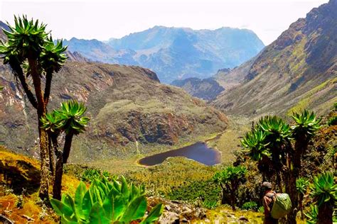 4 Days Rwenzori Mountains Mini-Hike, Semliki National Park Safari