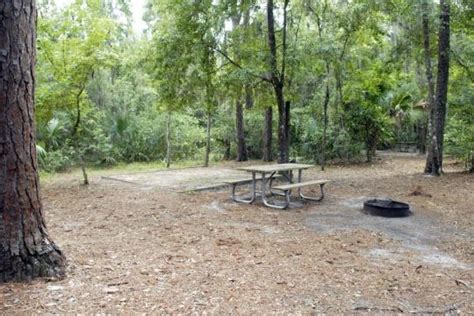 Paynes Prairie Preserve State Park, Micanopy, FL - GPS, Campsites ...