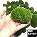 Woohome 30 PCS 3 Size Artificial Moss Rocks Decorative Green Moss