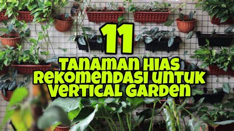 11 Tanaman Hias Untuk Vertical Garden No 5 Paling Cantik Youtube