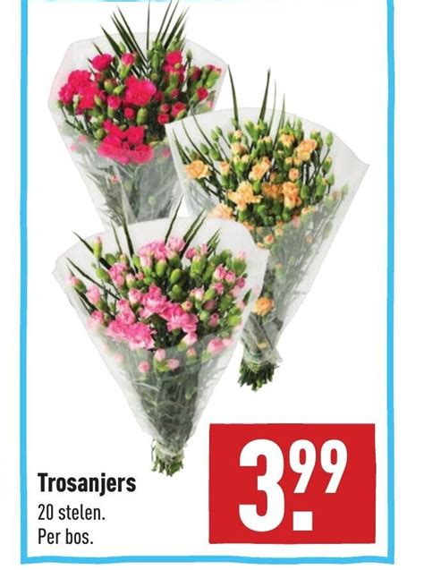 Trosanjers Aanbieding Bij ALDI