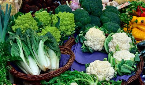 Clases De Coles Maqu Plantas Del Maresme De Calidad