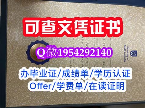 一比一原版尼皮辛大学毕业证成绩单申请学校offer Ppt