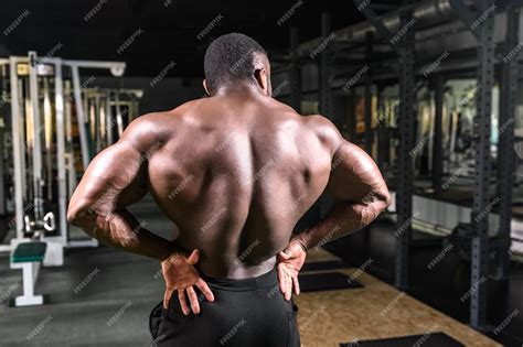 Lower Back Muscles Bodybuilding