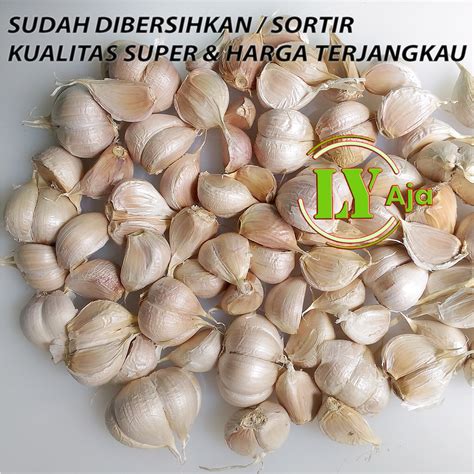 Jual Bawang Putih Kating Bersih Pretelan Kg Kg Kualitas Super Ly Aja