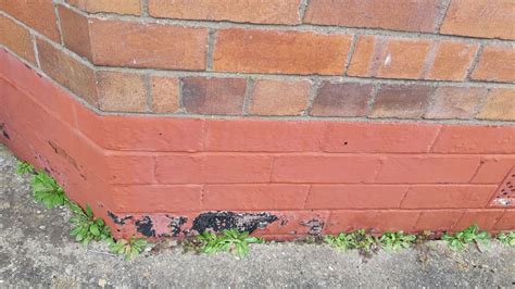 Removing Paint From Brick A How To Guide Homebuilding 必威忠实会员