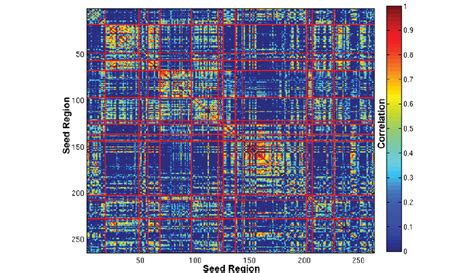 Functional Connectivity Matrix Fictive Of An Unthresholded Recurrence Download Scientific