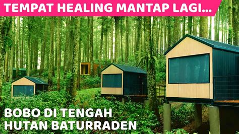 Hotel Di Tengah Hutan Homecare24