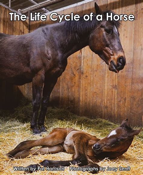 The Life Cycle of a Horse - Level K/19