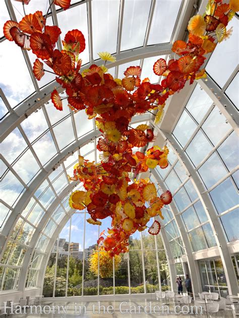 Chihuly Garden and Glass in Winter - Harmony in the Garden