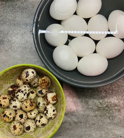 Маринованные яйца: отличная закуска под пиво, после которой лучше ...
